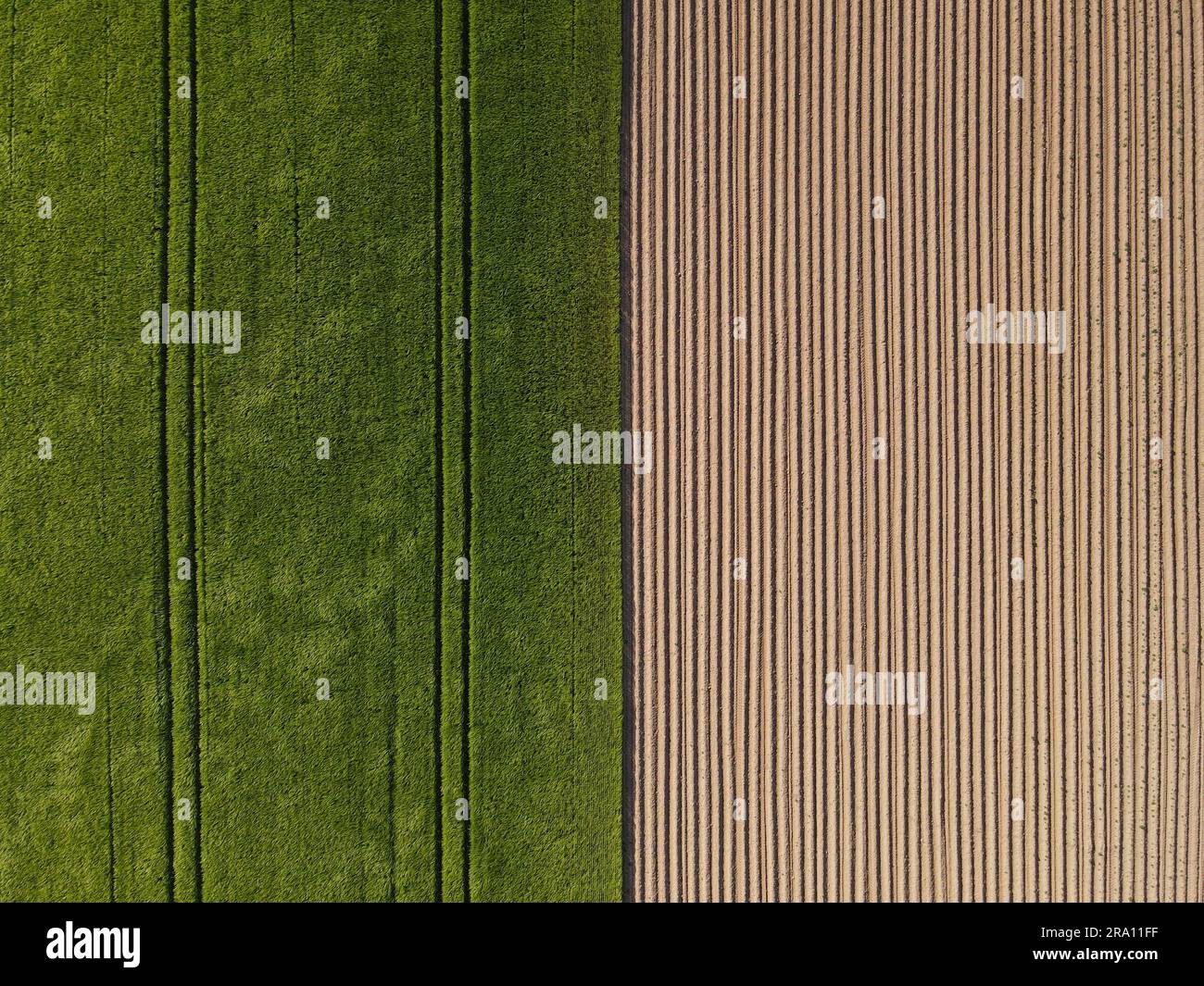 Vue par drone d'un champ de culture à moitié vert et d'une terre agricole à moitié labourée avec du sol Banque D'Images