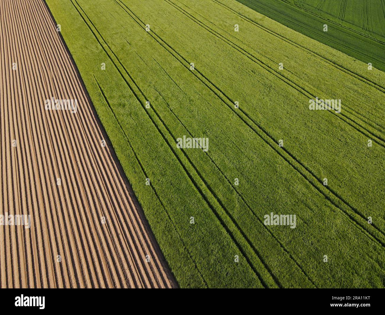 Vue aérienne d'un champ arable labouré avec de la terre et un champ de culture verte avec des voies au printemps Banque D'Images