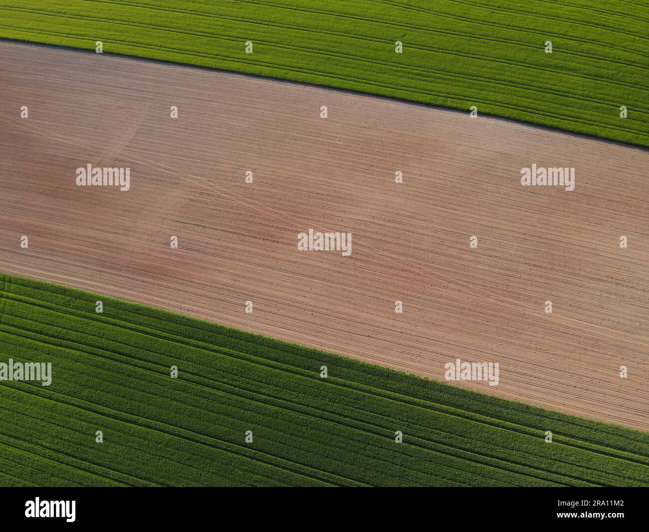 Terres agricoles avec des cultures vertes et sol labouré par le haut au printemps Banque D'Images