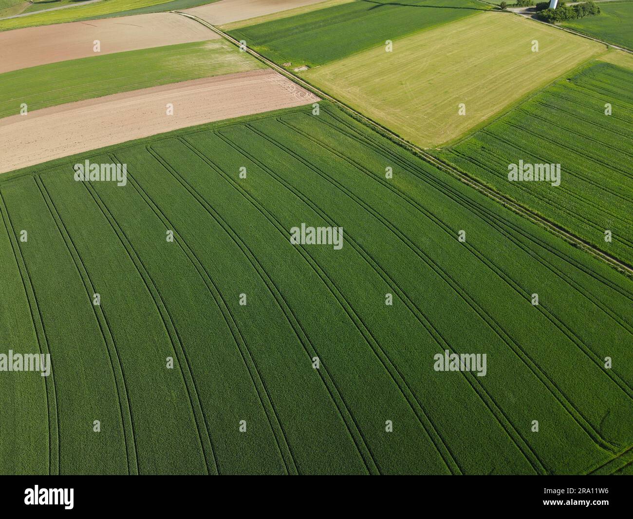 Vue de dessus des champs agricoles avec des cultures en croissance et du sol labouré au printemps Banque D'Images