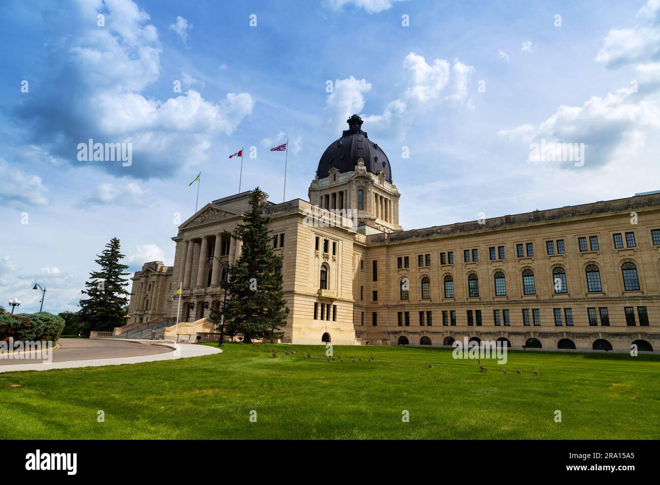 L'Assemblée législative de la Saskatchewan dans la ville de Regina. Regina est la capitale de la Saskatchewan, au Canada. On peut voir des canards marcher sur la pelouse. Banque D'Images