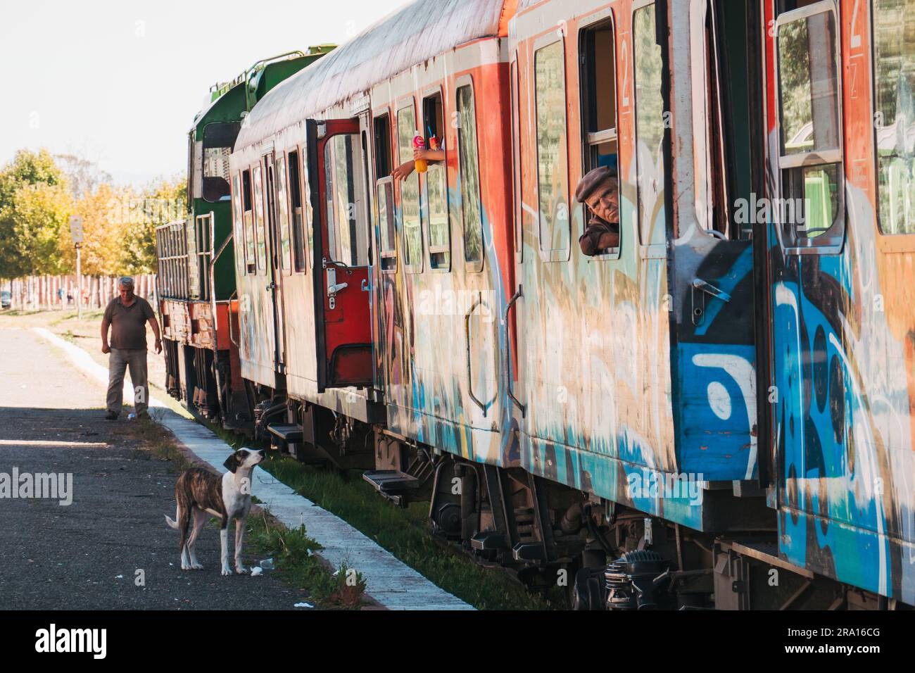 Un homme regarde par une fenêtre de wagon tandis que des enfants se penchent pour nourrir un chien à la gare de Durrës, en Albanie Banque D'Images