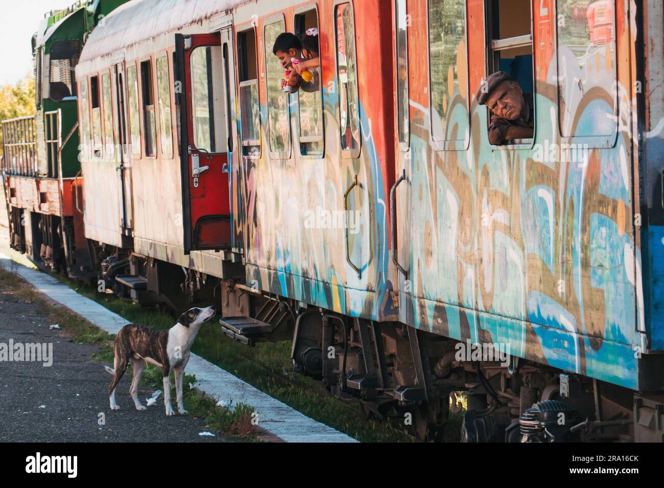 Un homme regarde par une fenêtre de wagon tandis que des enfants se penchent pour nourrir un chien à la gare de Durrës, en Albanie Banque D'Images