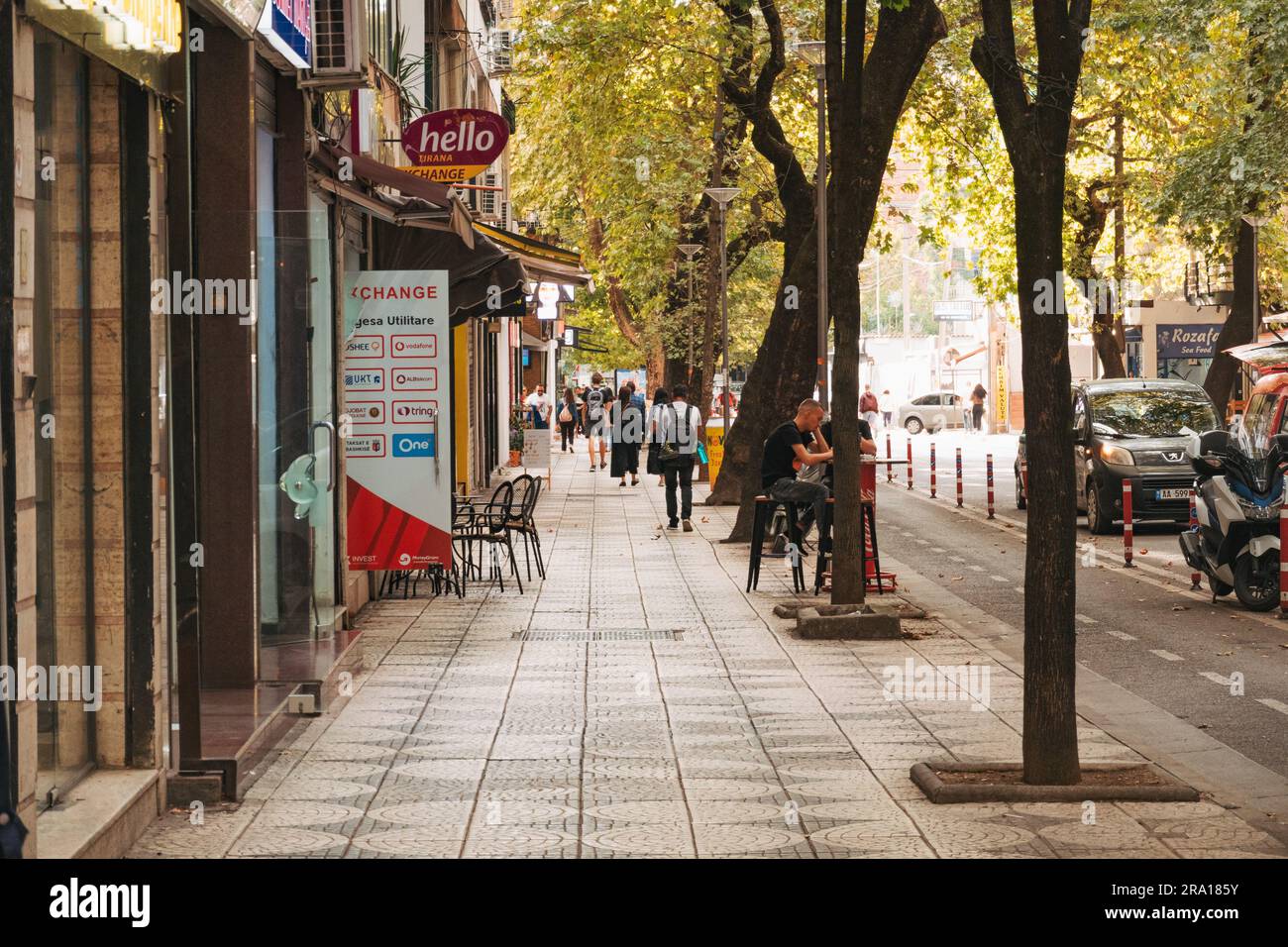 Une rue bordée d'arbres verdoyants avec un trottoir carrelé et une piste cyclable à Tirana, la capitale de l'Albanie Banque D'Images