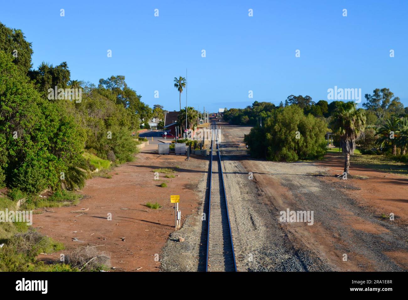 Lignes de train droites ou voies ferrées menant à la ville de Mildura dans l'outback sur la Murray River dans le Victoria avec un seul grand palmier. Banque D'Images