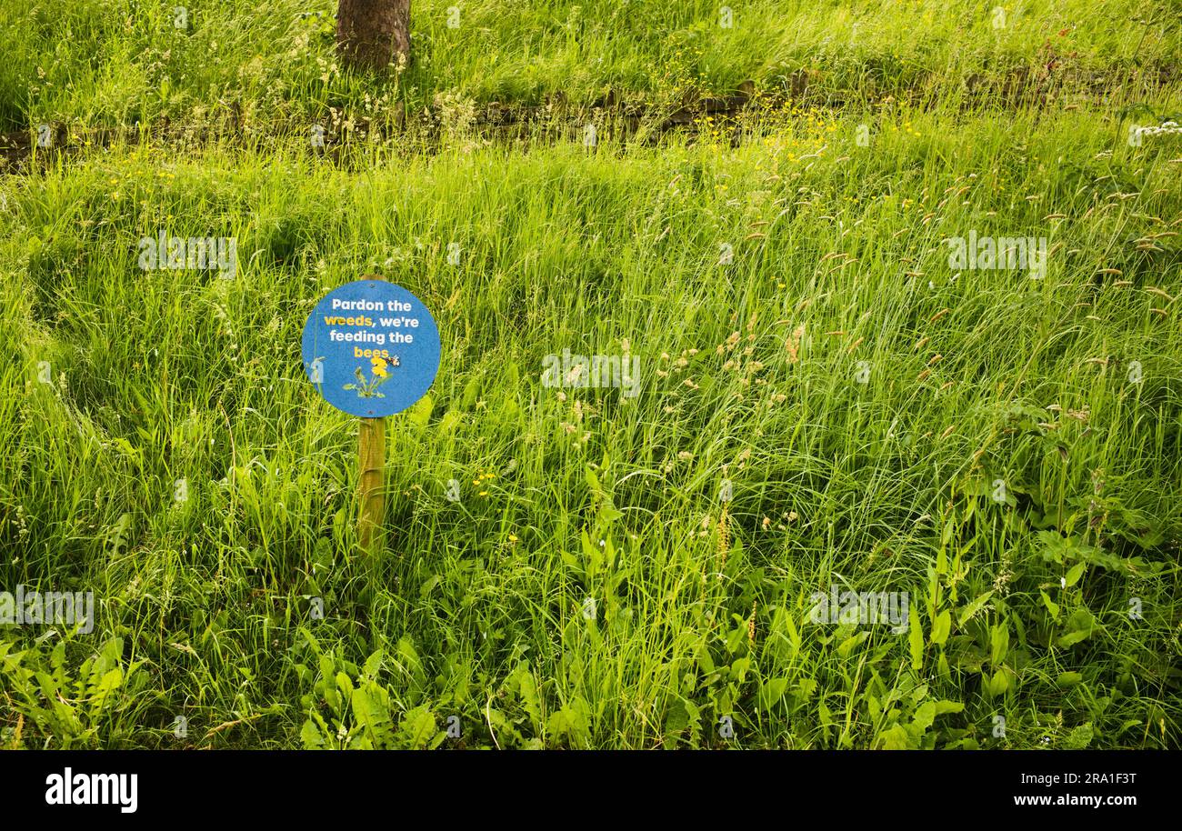 Panneau dans la zone d'herbe à l'herbe de Scarborough Valley Gardens Banque D'Images