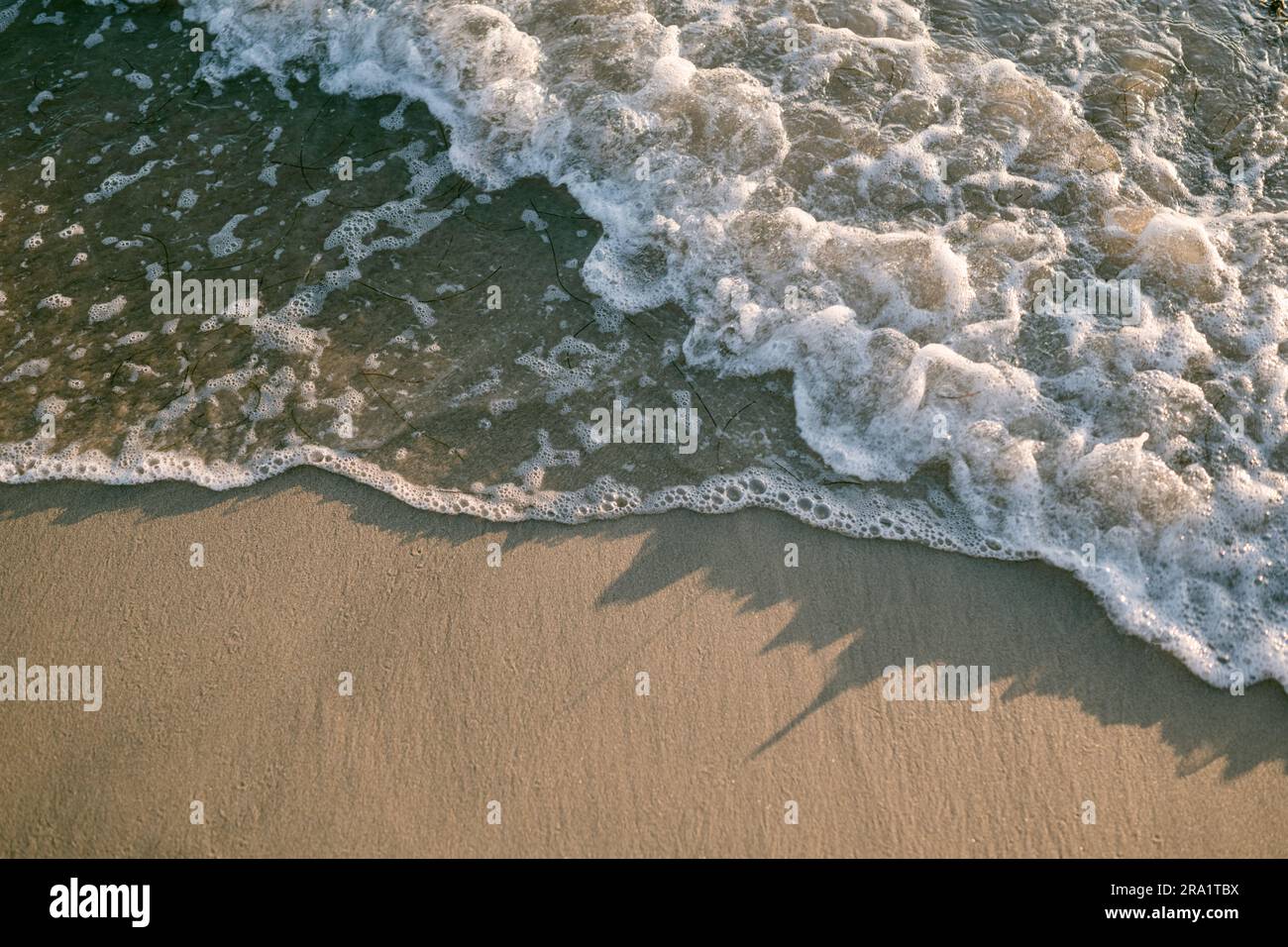 Gros plan sur les vagues à la plage Banque D'Images