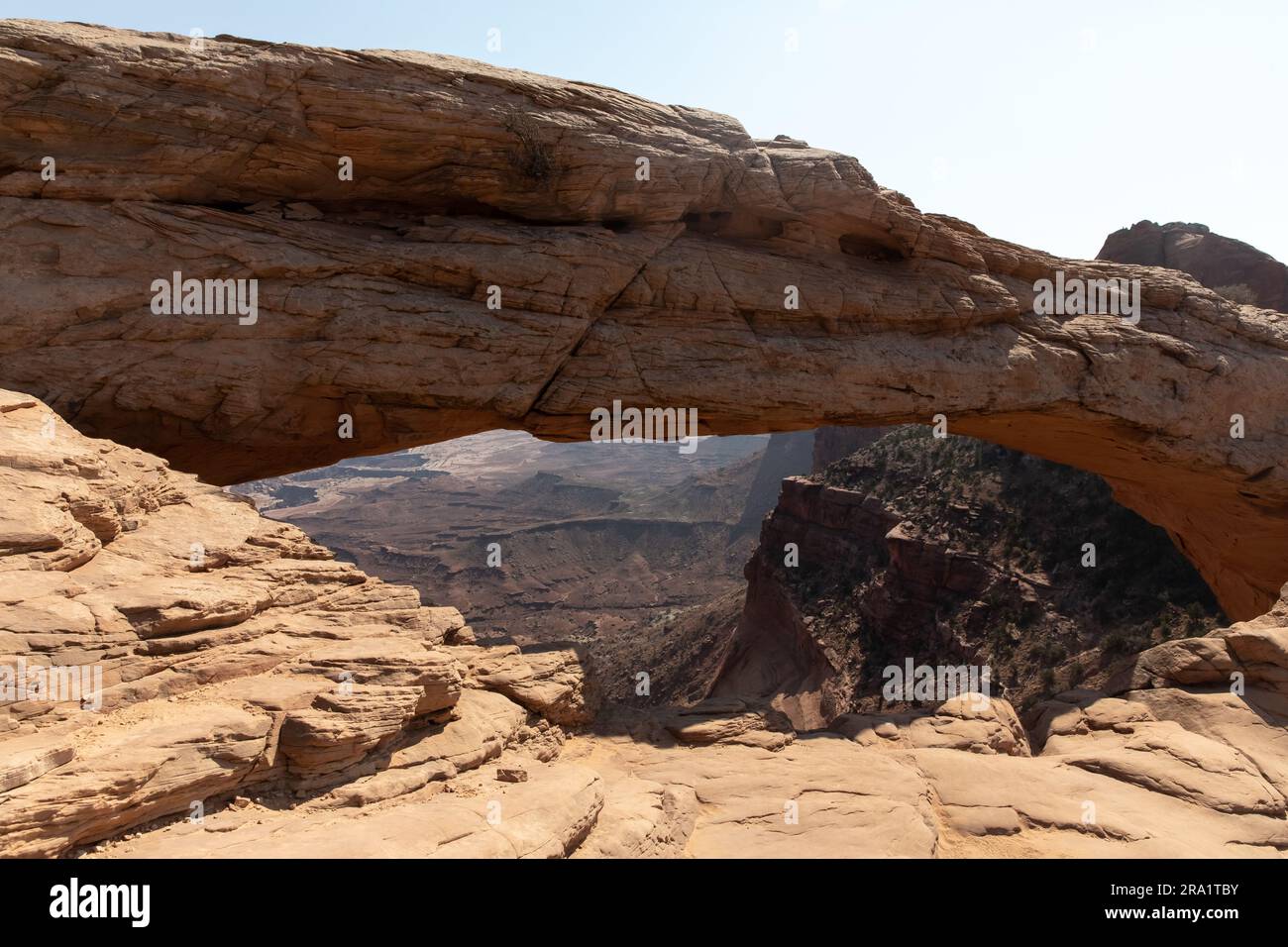 Mesa Arch dans Canyonlands National Park Utah Banque D'Images