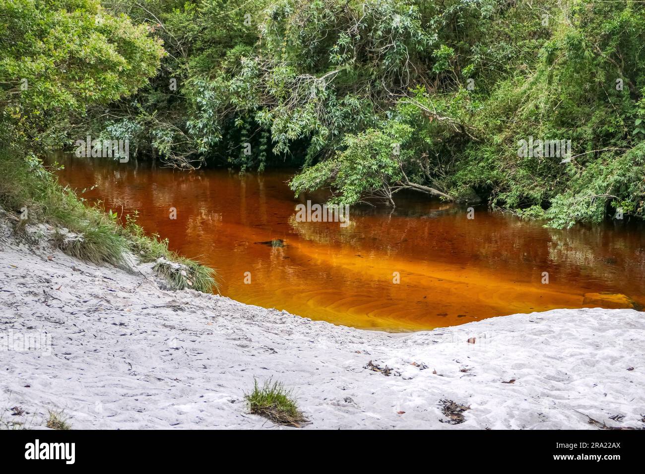 Vue idyllique d'une crique de couleur orange avec plage de sable et forêt verte, Parc naturel de Caraca, Minas Gerais, Brésil Banque D'Images