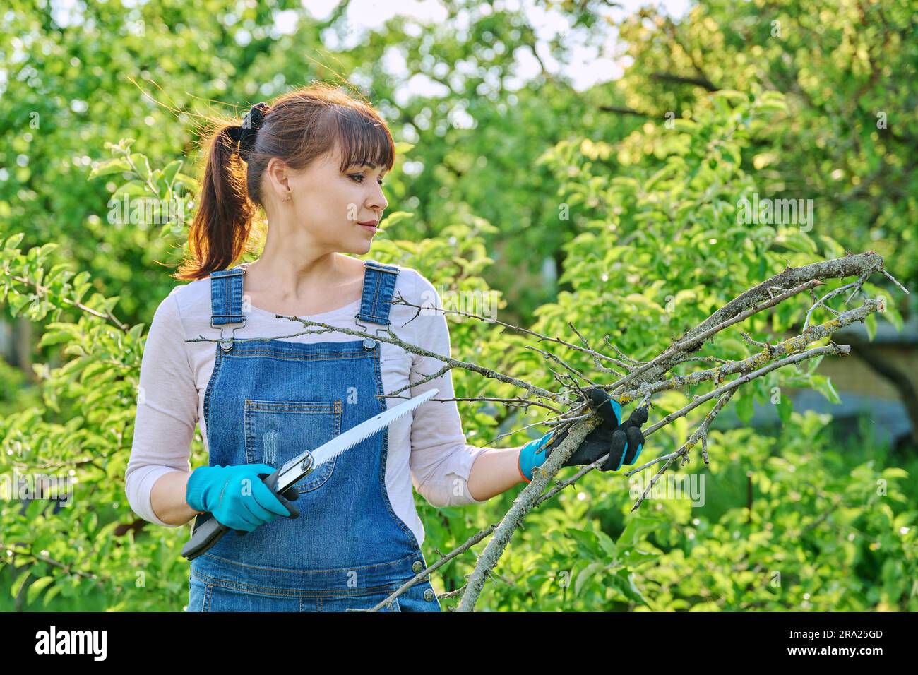 Femme jardinière avec une scie et des branches coupées à sec dans le jardin Banque D'Images