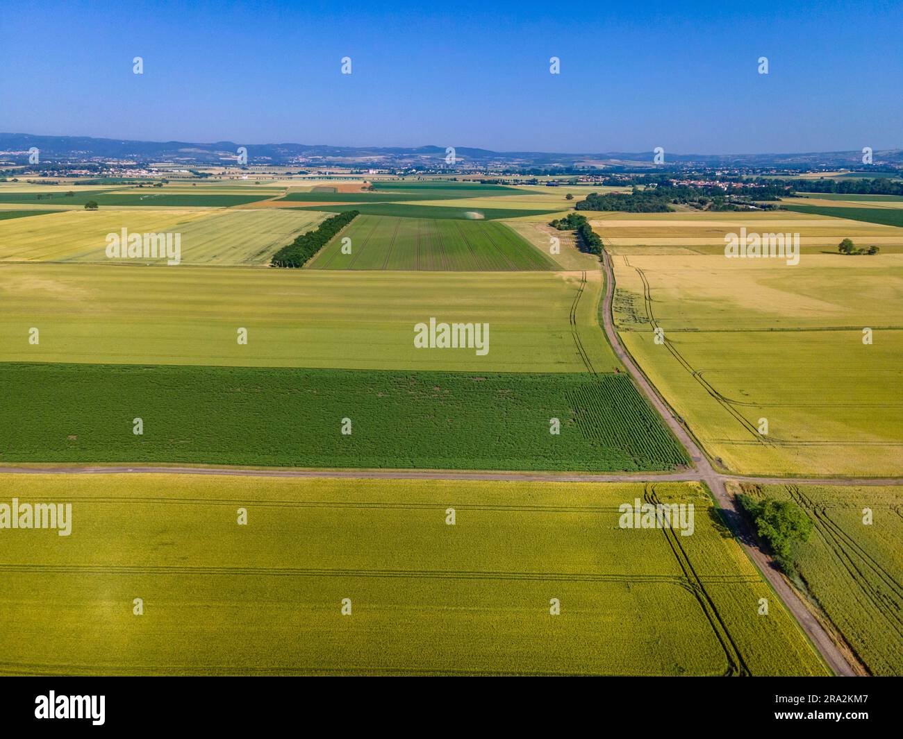 France, Puy de Dome, paysage agricole de la plaine de la Limagne, près de Riom, chaîne des Puys en arrière-plan (vue aérienne) Banque D'Images