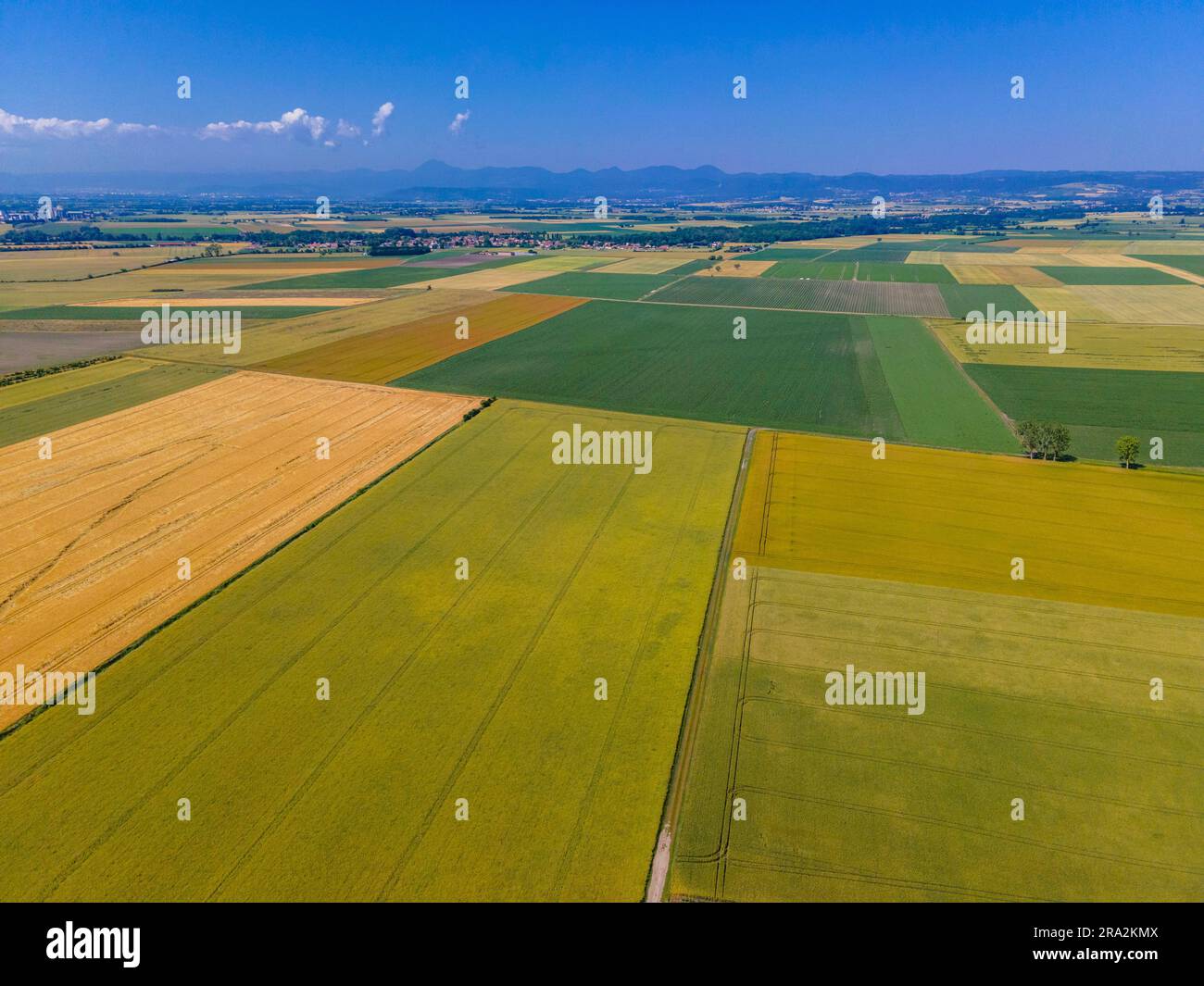 France, Puy de Dome, les Martres d'Artière, paysage agricole de la plaine de la Limagne, près de Riom, chaîne des Puys en arrière-plan (vue aérienne) Banque D'Images