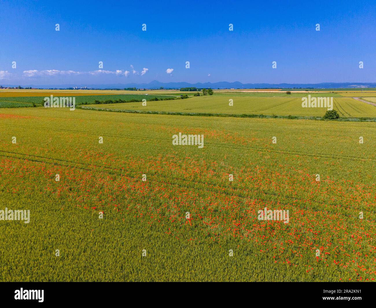 France, Puy de Dome, les Martres d'Artière, paysage agricole de la plaine de la Limagne, près de Riom, chaîne des Puys en arrière-plan (vue aérienne) Banque D'Images