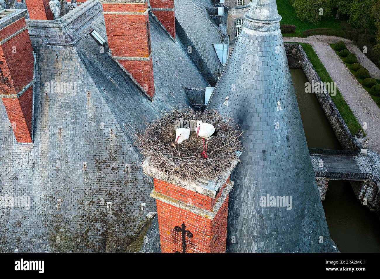 France, Meurthe et Moselle, Saintois, Haroué, cigogne blanche (Ciconia ciconia) couvant dans son nid sur le château de Haroué (vue aérienne) Banque D'Images