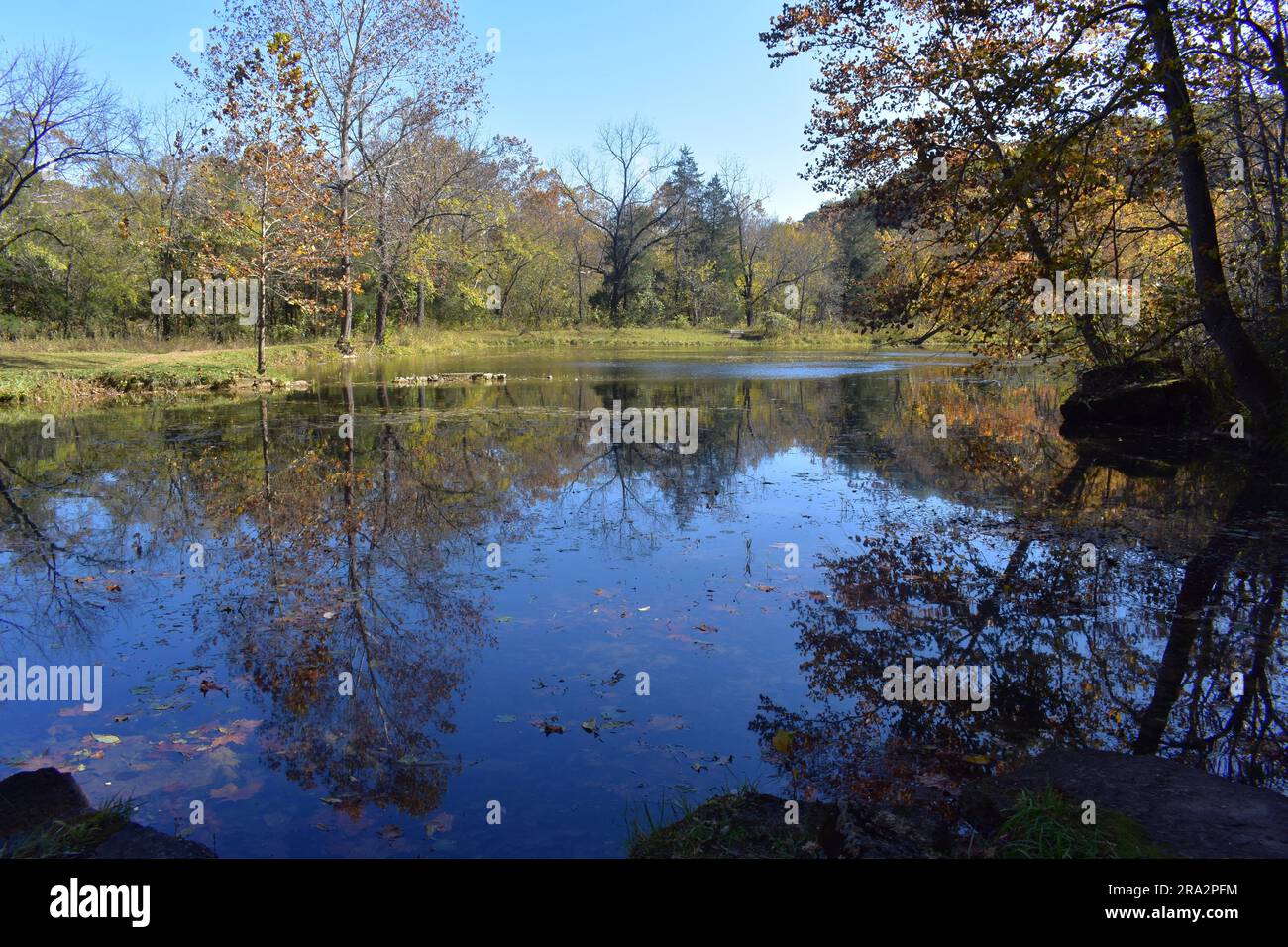 Falling Spring est situé dans la forêt nationale Mark Twain dans le Missouri. L'eau de source forme un petit étang qui abrite diverses formes de vie aquatique. Banque D'Images