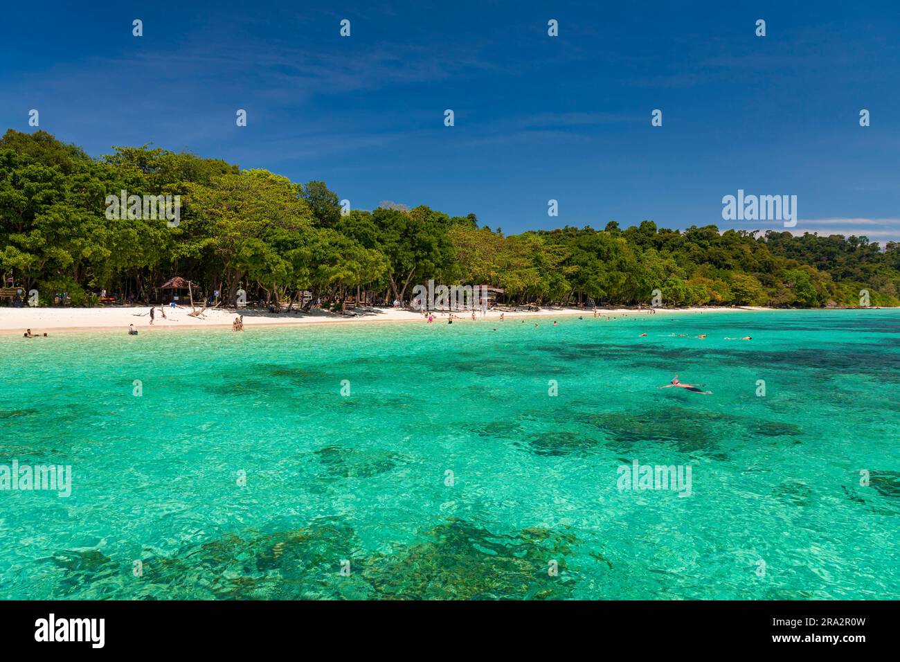 Thaïlande, province de Trang, parc national de Mu Koh Lanta, île de Koh Rok Yai Banque D'Images