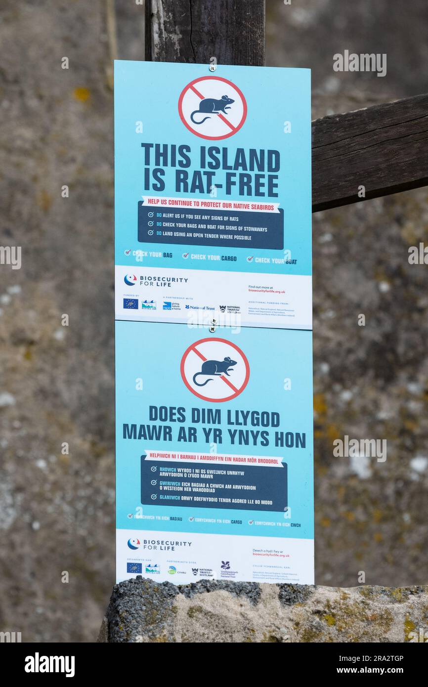 Biosécurité - cette île est le panneau Rat Free sur Skomer, au pays de Galles, une zone de protection spéciale de l'île Banque D'Images