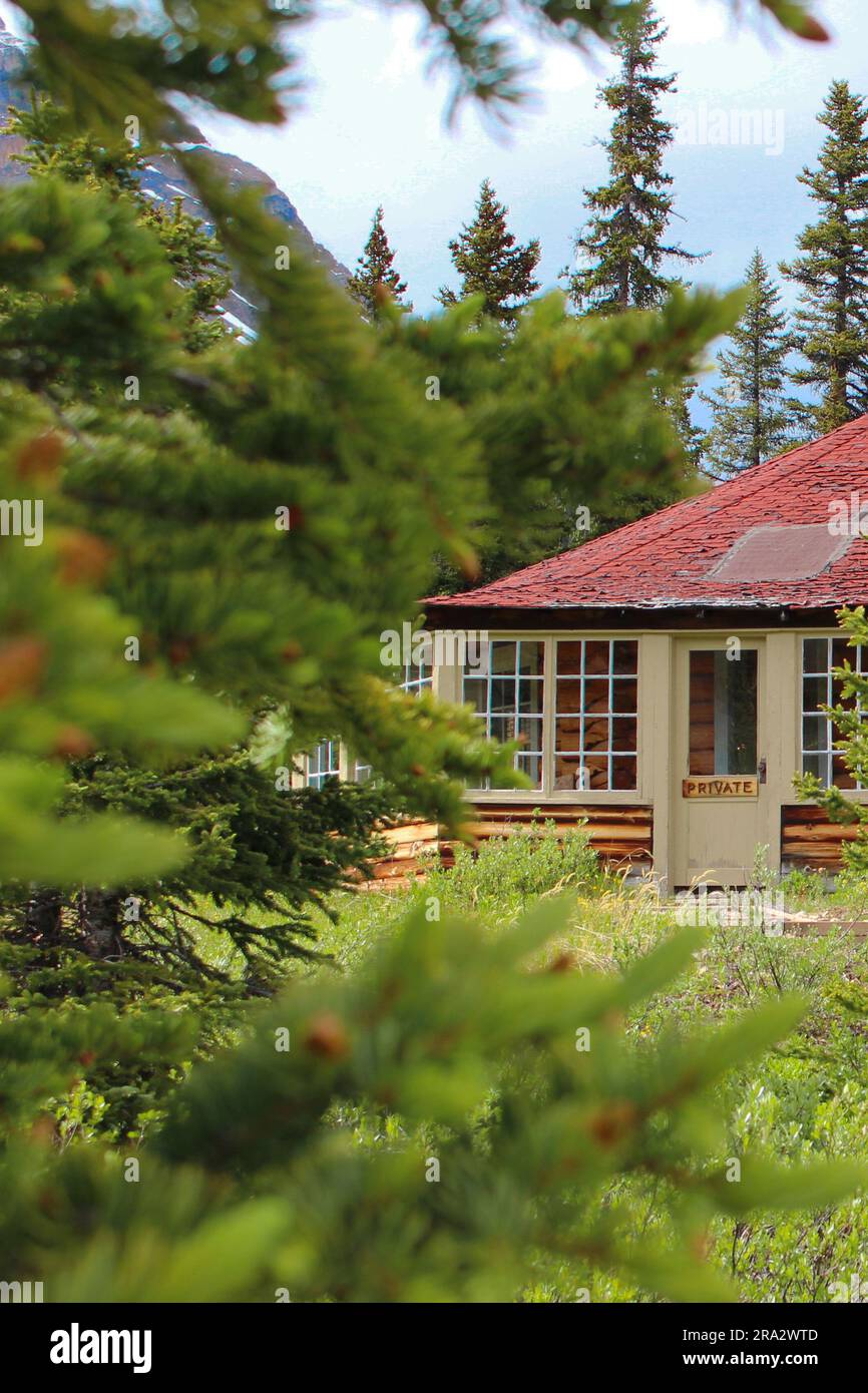 C'était le pâturage de Jimmy Simspon. C'était un guide alpiniste qui commencerait ses visites depuis cette cabane près du lac Bow, en Alberta. Banque D'Images