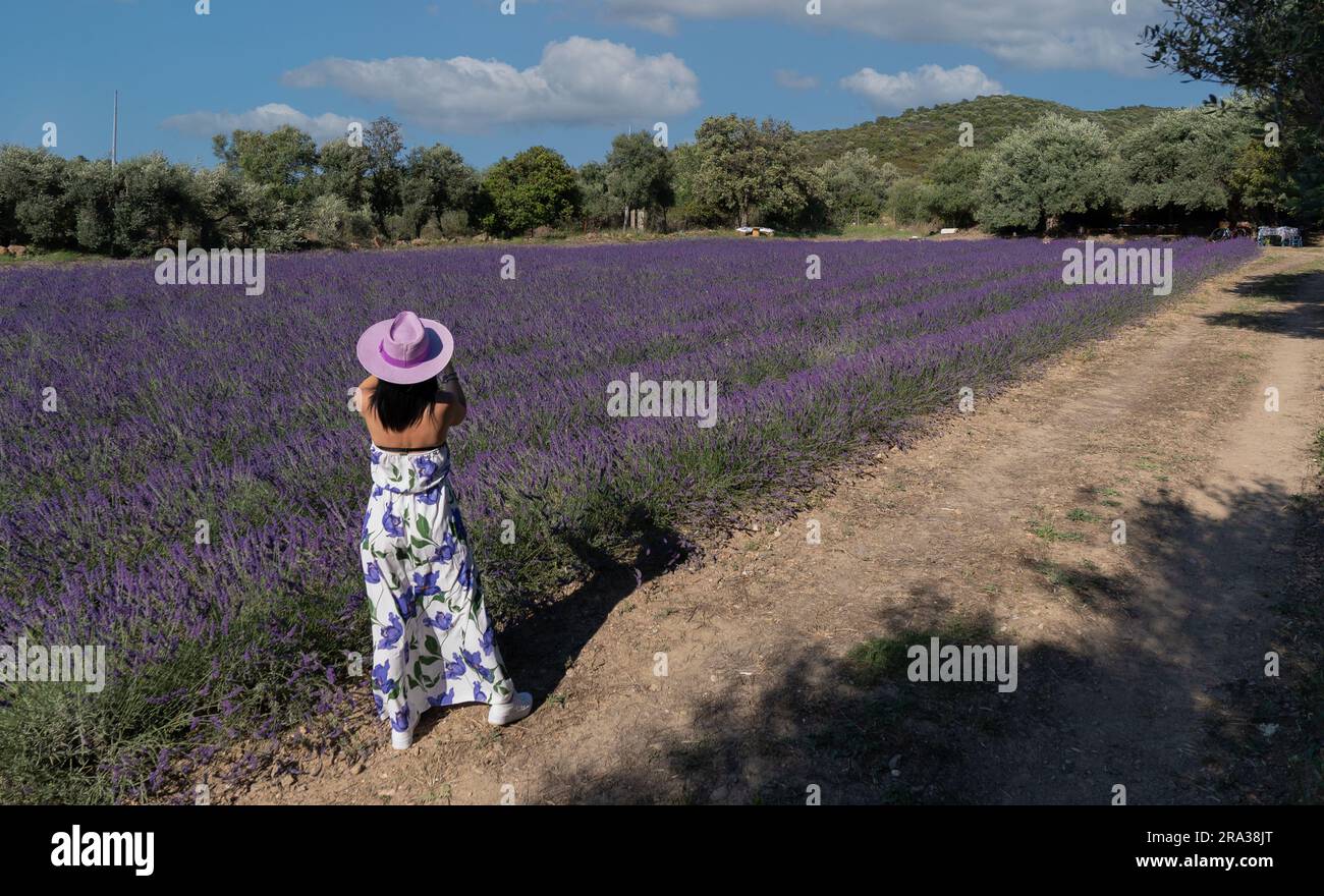 fille avec chapeau de paille blanc se détend au milieu d'un champ de lavande Banque D'Images