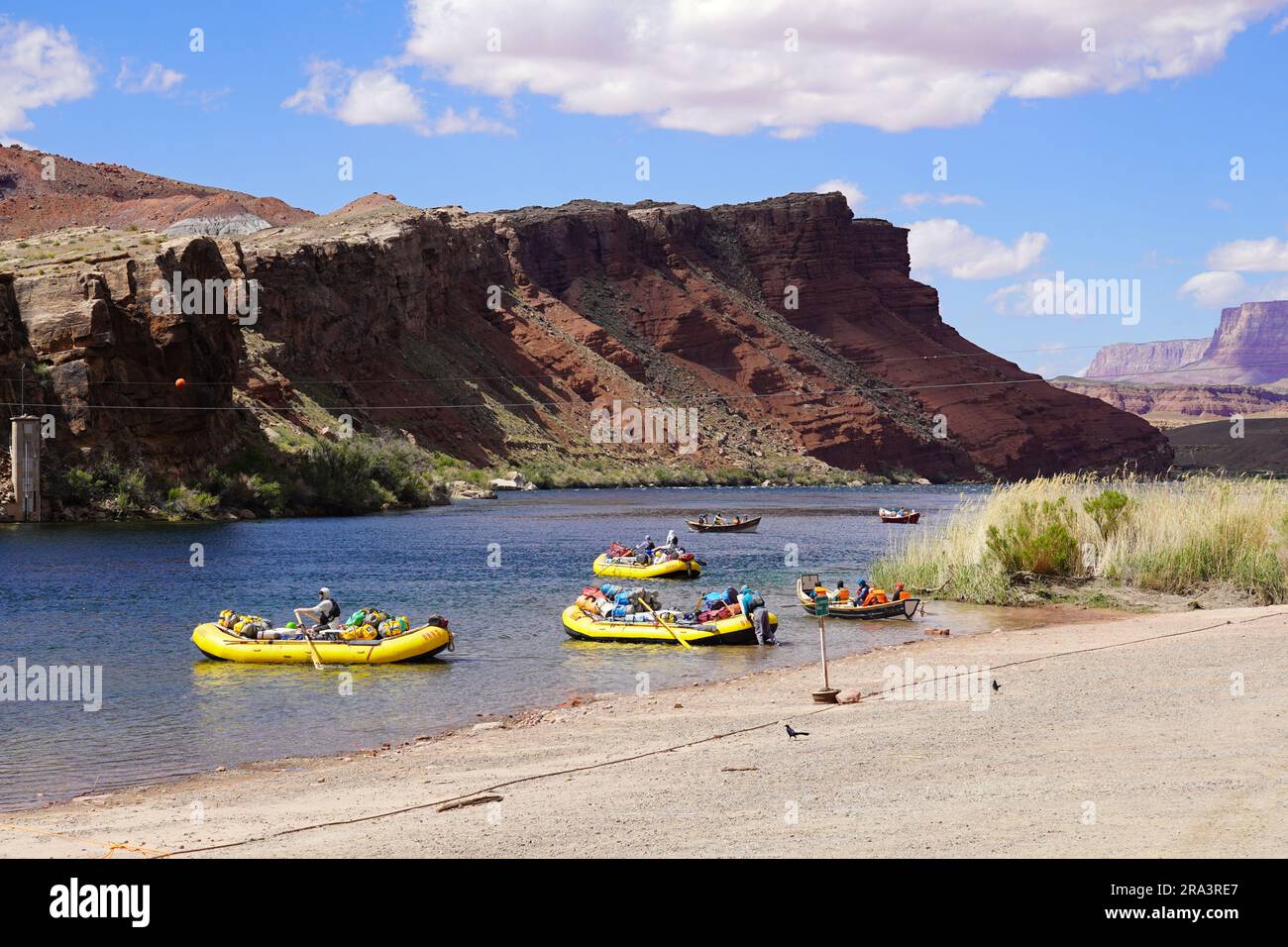 Marble Canyon, Arizona, États-Unis - 4 mai 2023 : départ en groupe de Lees Ferry pour une promenade en rafting sur le fleuve Colorado Banque D'Images