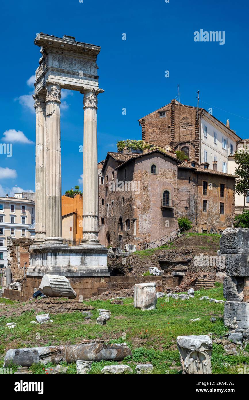 Temple d'Apollon Sosianus, Campus Martius, Rome, Latium, Italie Banque D'Images
