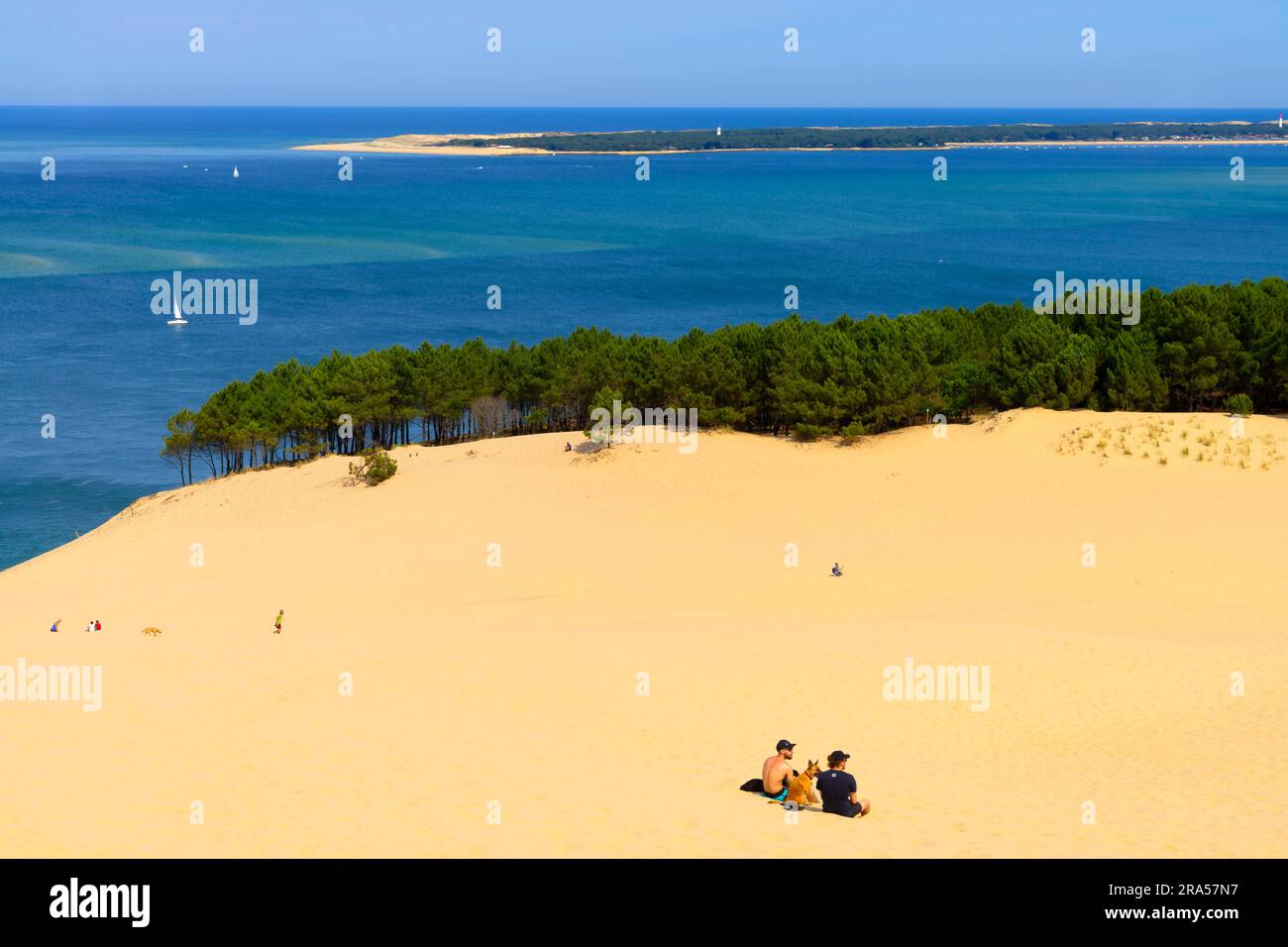 Dune du Pilat (Dune du Pilat), France. La Grande dune du Pilat est la plus haute dune de sable d'Europe. Il est situé à la teste-de-Buch dans l'Arcachon Banque D'Images