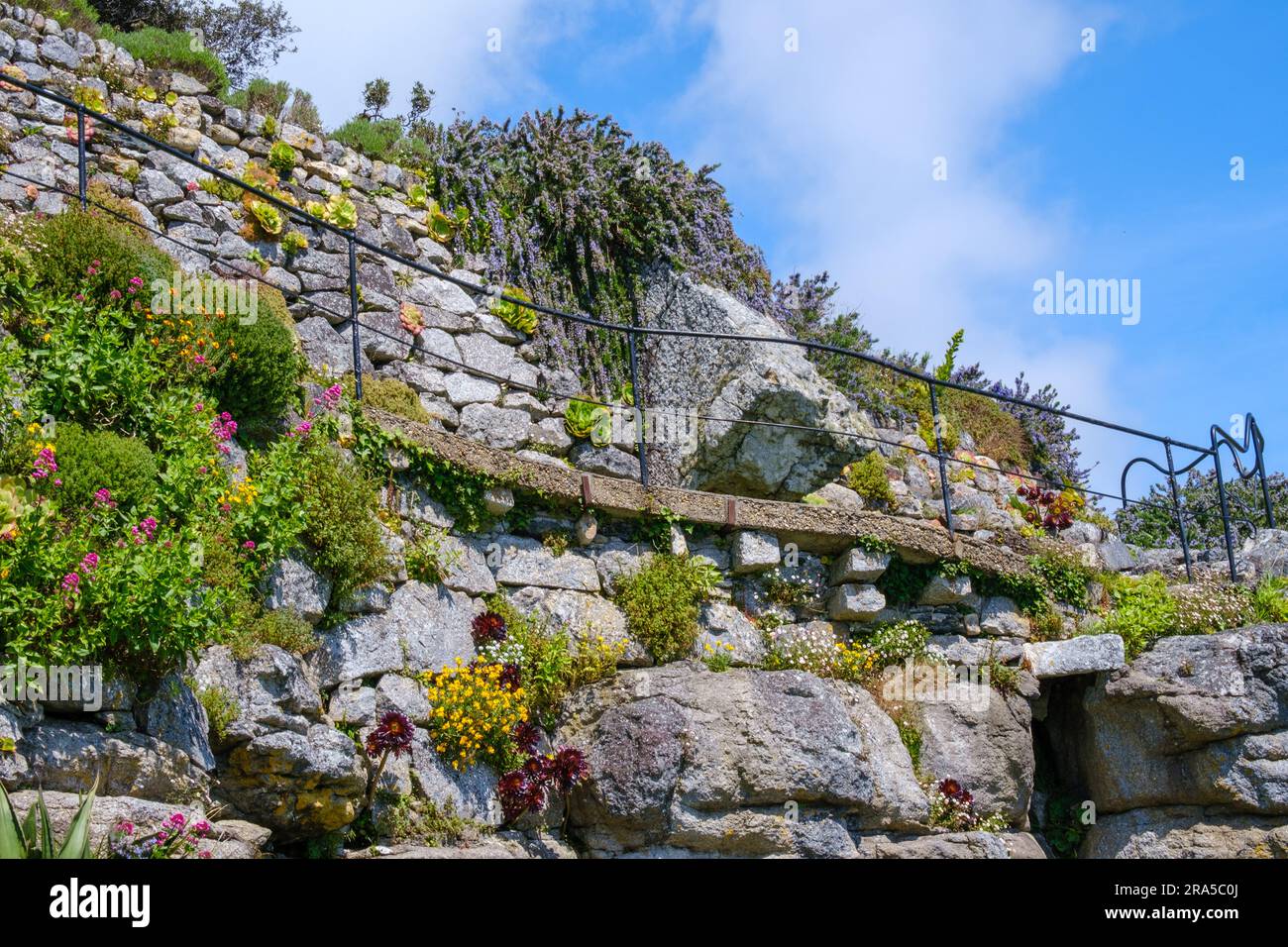 Passerelle bordée de fleurs au milieu de grands rochers jardin en terrasse du mont St Michael’s, Marazion, Cornwall, Angleterre. Banque D'Images