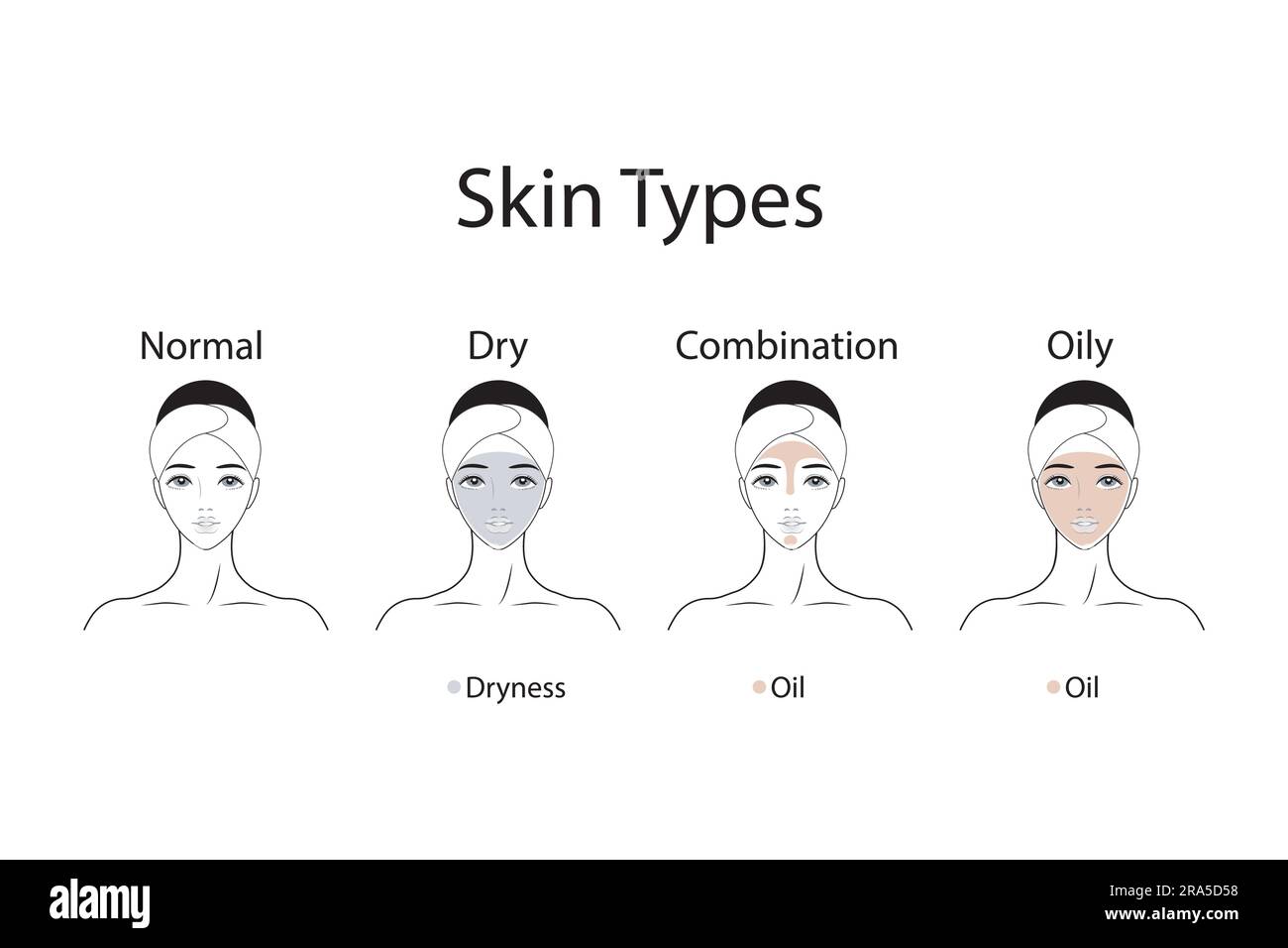 Quatre principaux types de peau, normale, sèche, combinée et huileuse. Vecteur femelle Illustration de Vecteur