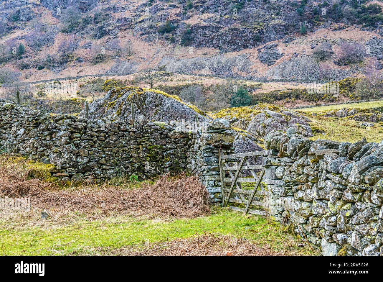 Gate et Drystone Walling en route vers Hodge Close Quarry dans le parc national de Lake District Banque D'Images