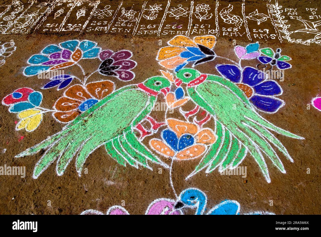 Kolam Rangoli pendant le Festival Pongal à Tamil Nadu, Inde du Sud, Inde, Asie Banque D'Images