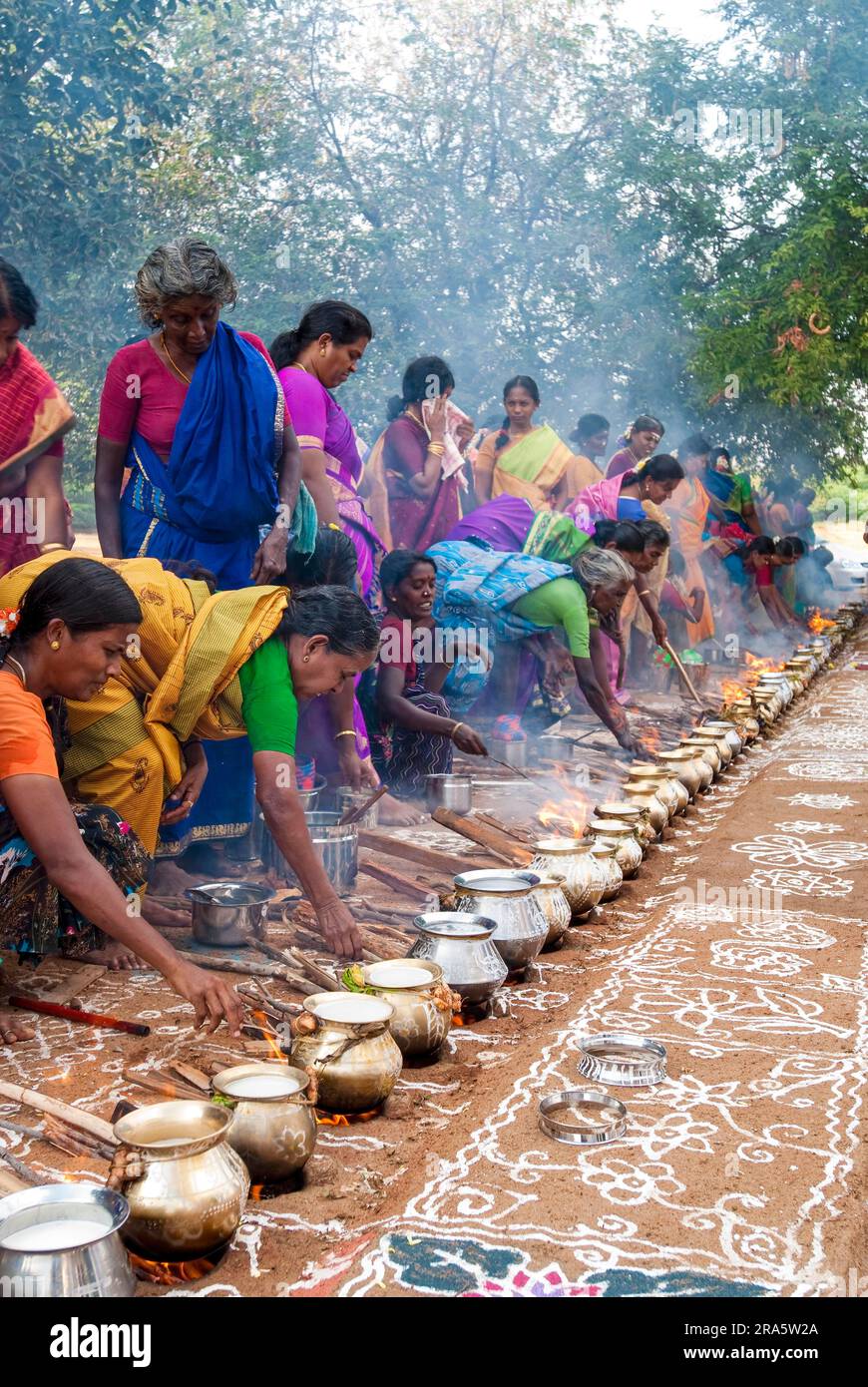 Femmes célébrant Sevvai Mardi Festival Pongal sur le foyer de bois de chauffage à Paganeri près de Karaikudi, Tamil Nadu, Inde du Sud, Inde, Asie. Cuisson Banque D'Images