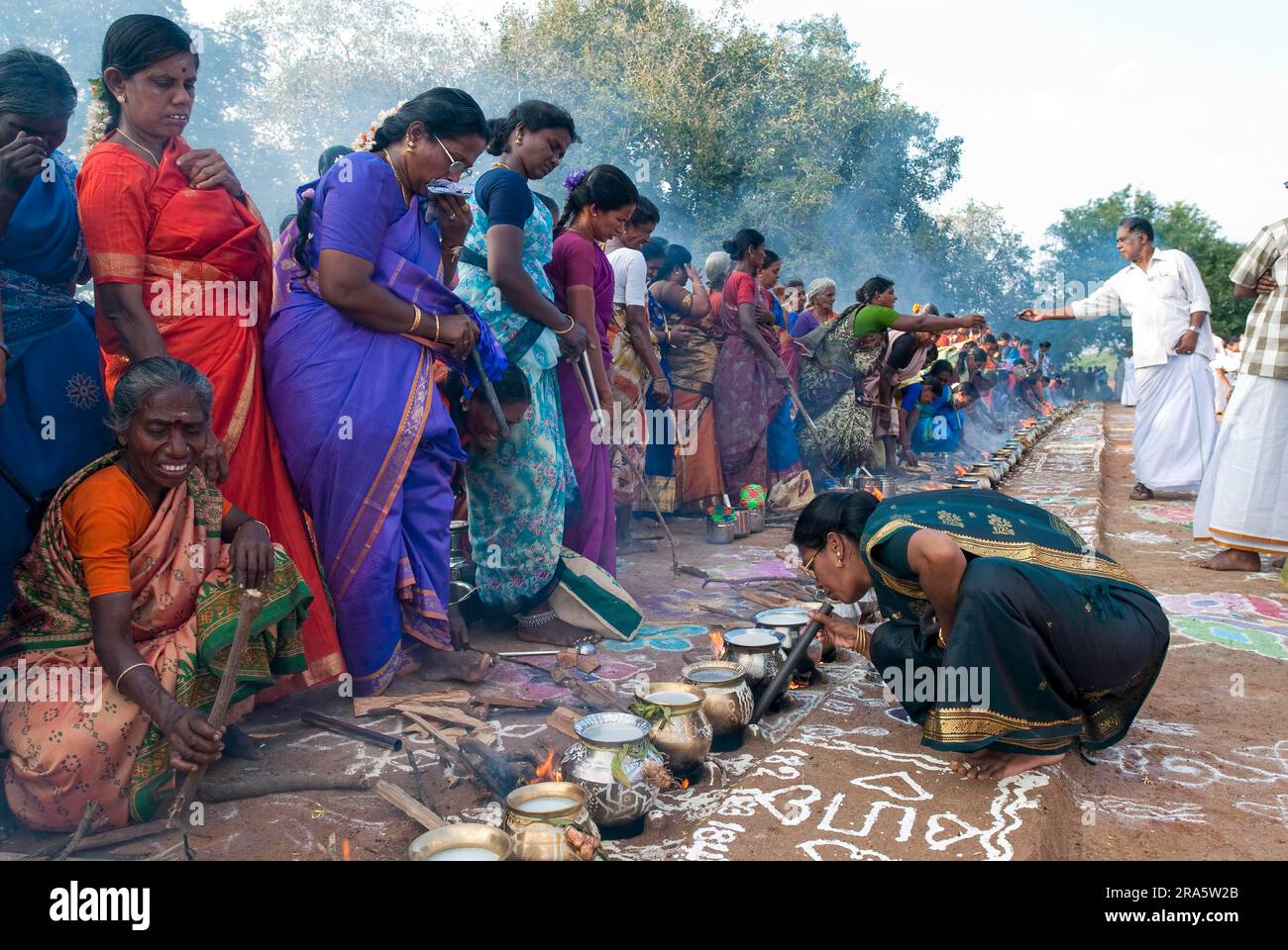 Femmes célébrant Sevvai Mardi Festival Pongal sur le foyer de bois de chauffage à Paganeri près de Karaikudi, Tamil Nadu, Inde du Sud, Inde, Asie. Cuisson Banque D'Images