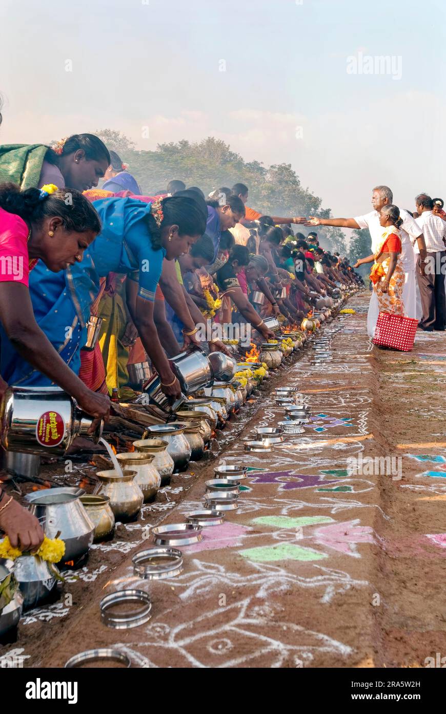 Femmes célébrant Sevvai Mardi Festival Pongal sur le foyer de bois de chauffage à Paganeri près de Karaikudi, Tamil Nadu, Inde du Sud, Inde, Asie. Cuisson Banque D'Images