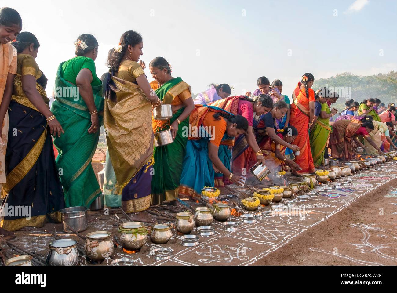 Femmes célébrant Sevvai Mardi Festival Pongal sur le foyer de bois de chauffage à Paganeri près de Karaikudi, Tamil Nadu, Inde du Sud, Inde, Asie. Cuisson Banque D'Images
