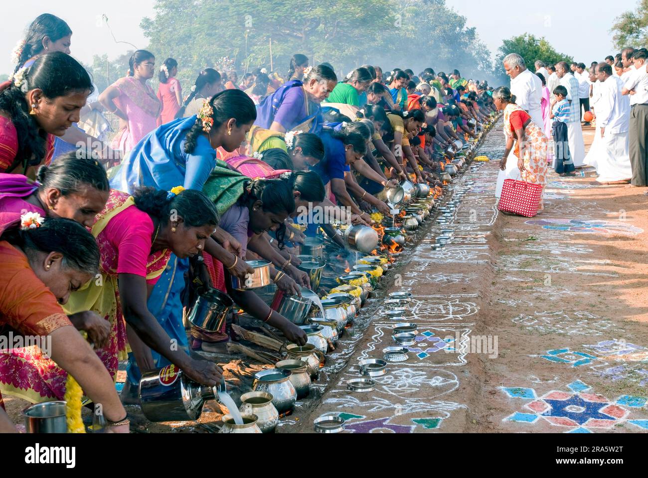 Femmes célébrant Sevvai Mardi Festival Pongal sur le foyer de bois de chauffage à Paganeri près de Karaikudi, Tamil Nadu, Inde du Sud, Inde, Asie. Cuisson Banque D'Images