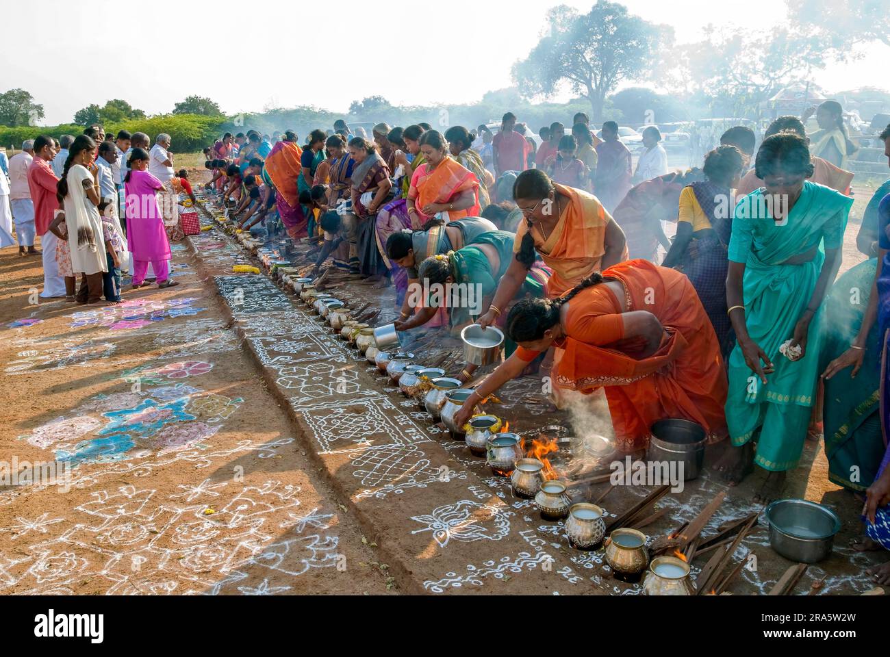 Femmes célébrant Sevvai Mardi Festival Pongal sur le foyer de bois de chauffage à Paganeri près de Karaikudi, Tamil Nadu, Inde du Sud, Inde, Asie. Cuisson Banque D'Images