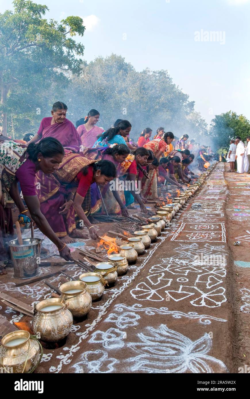 Femmes célébrant Sevvai Mardi Festival Pongal sur le foyer de bois de chauffage à Paganeri près de Karaikudi, Tamil Nadu, Inde du Sud, Inde, Asie. Cuisson Banque D'Images