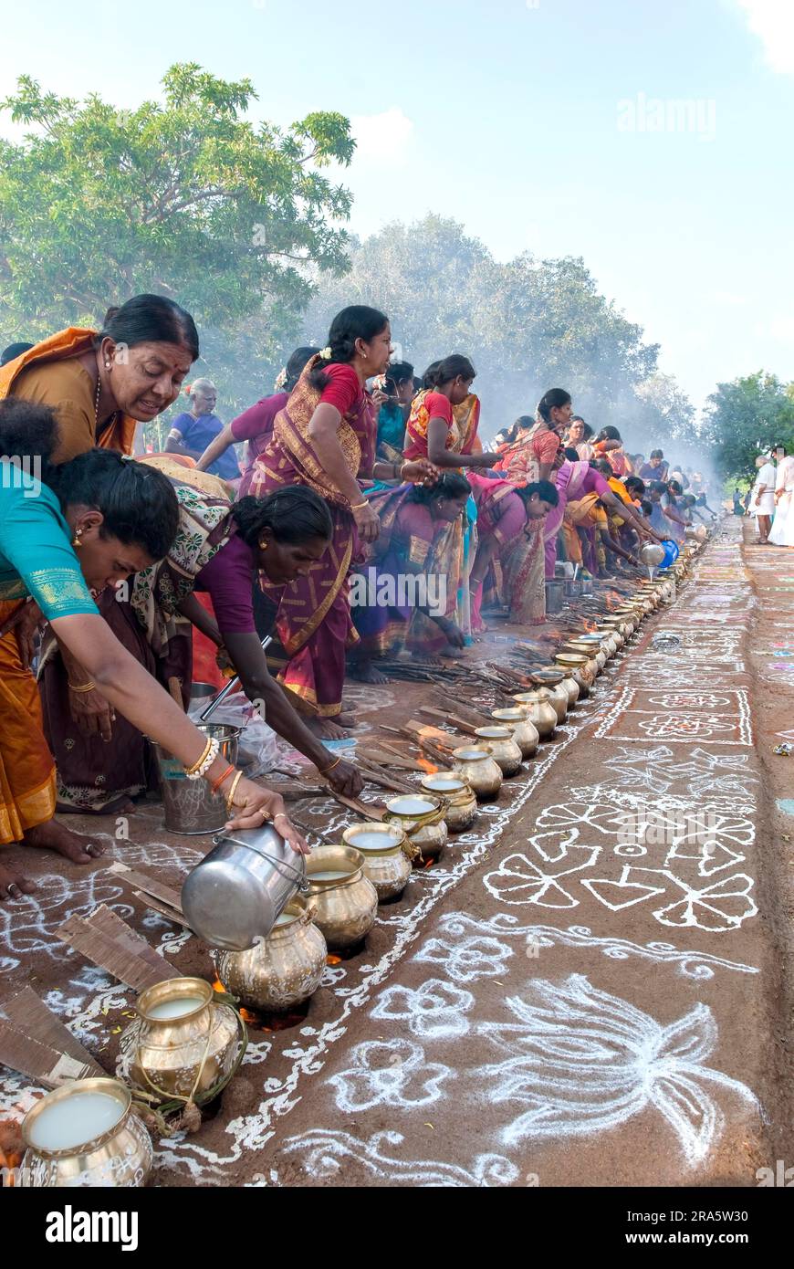 Femmes célébrant Sevvai Mardi Festival Pongal sur le foyer de bois de chauffage à Paganeri près de Karaikudi, Tamil Nadu, Inde du Sud, Inde, Asie. Cuisson Banque D'Images