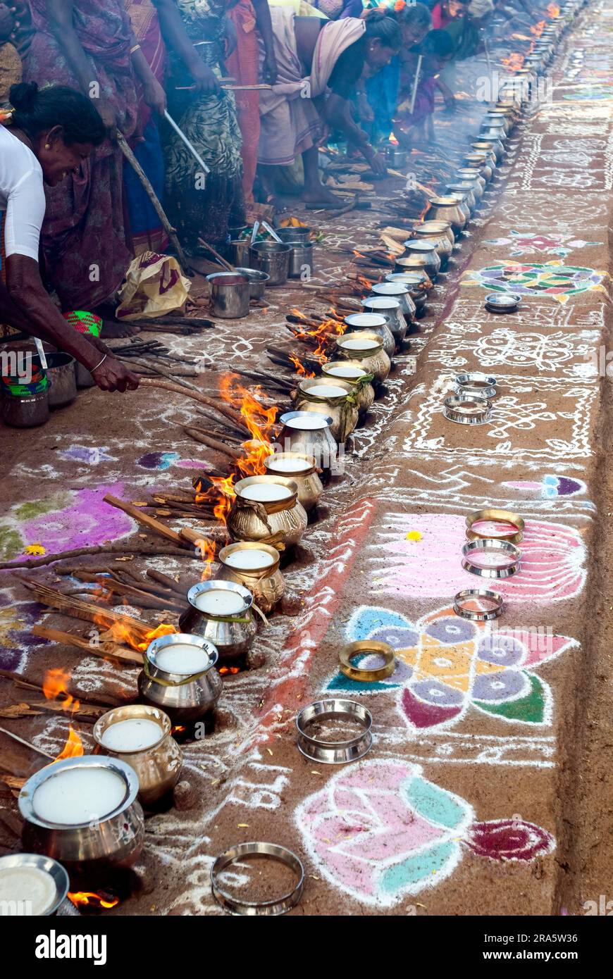 Femmes célébrant Sevvai Mardi Festival Pongal sur le foyer de bois de chauffage à Paganeri près de Karaikudi, Tamil Nadu, Inde du Sud, Inde, Asie. Cuisson Banque D'Images