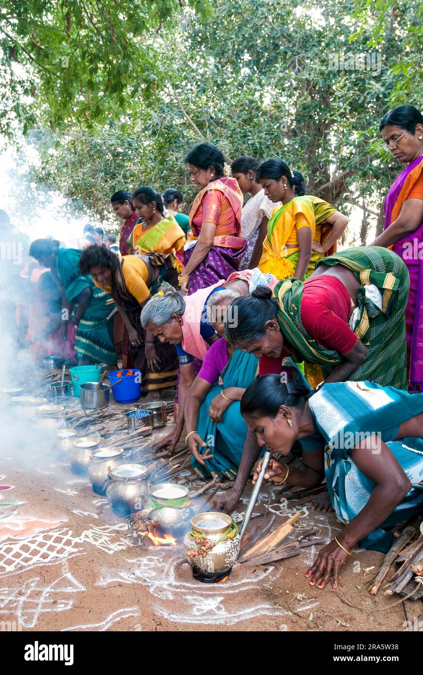 Femmes célébrant Sevvai Mardi Festival Pongal sur le foyer de bois de chauffage à Paganeri près de Karaikudi, Tamil Nadu, Inde du Sud, Inde, Asie. Cuisson Banque D'Images