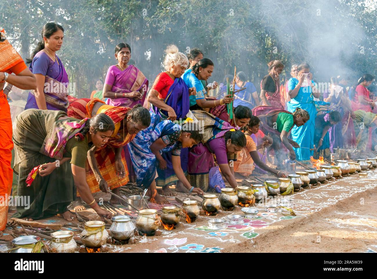 Femmes célébrant Sevvai Mardi Festival Pongal sur le foyer de bois de chauffage à Paganeri près de Karaikudi, Tamil Nadu, Inde du Sud, Inde, Asie. Cuisson Banque D'Images