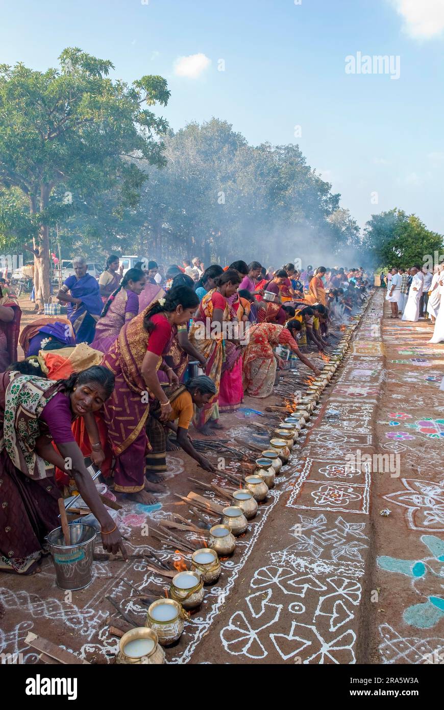 Femmes célébrant Sevvai Mardi Festival Pongal sur le foyer de bois de chauffage à Paganeri près de Karaikudi, Tamil Nadu, Inde du Sud, Inde, Asie. Cuisson Banque D'Images