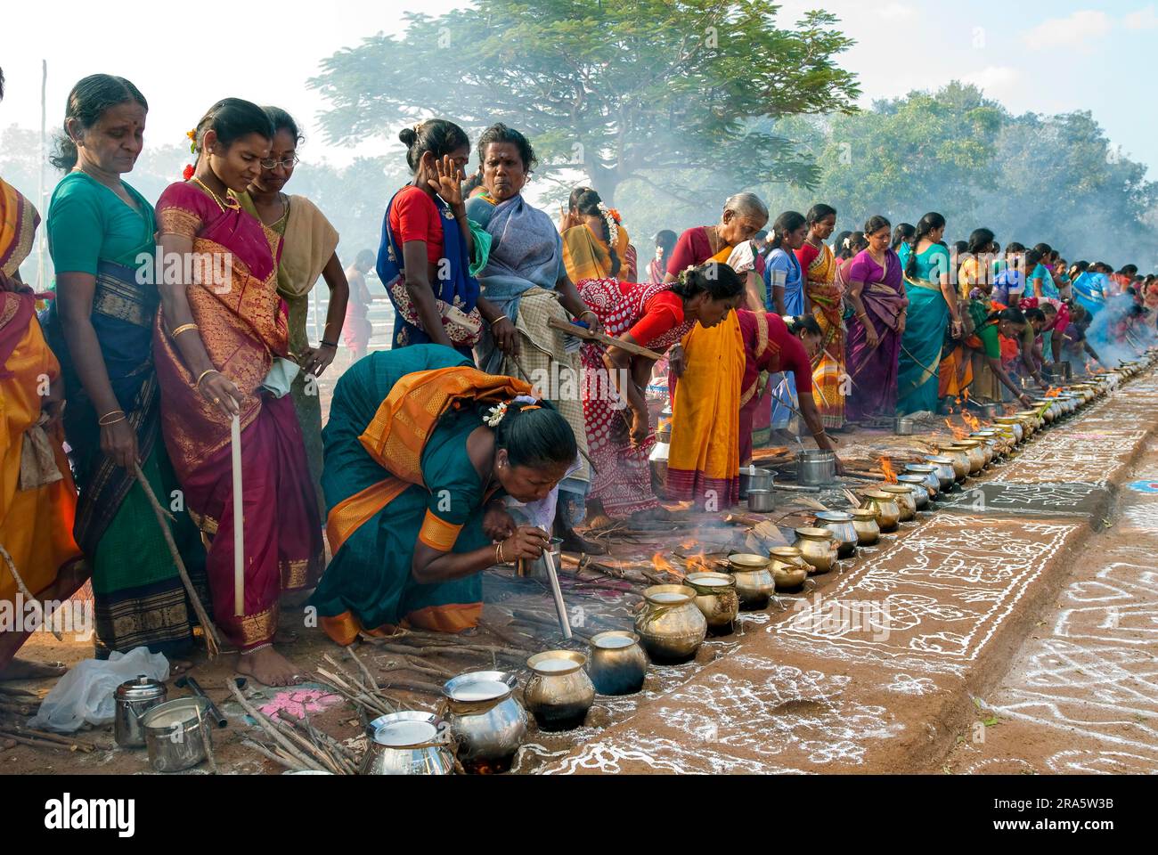 Femmes célébrant Sevvai Mardi Festival Pongal sur le foyer de bois de chauffage à Paganeri près de Karaikudi, Tamil Nadu, Inde du Sud, Inde, Asie. Cuisson Banque D'Images