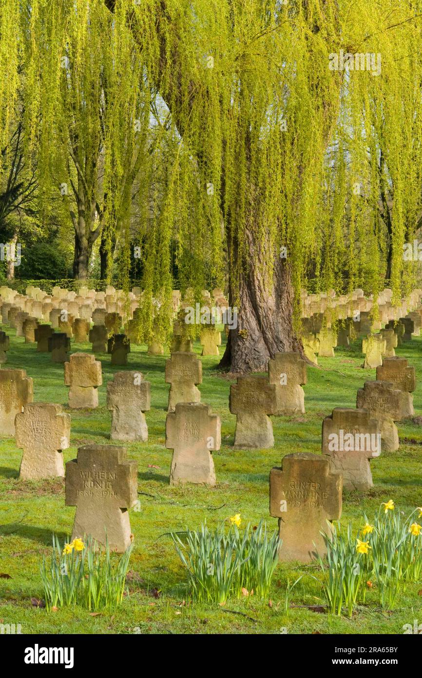 Cimetière militaire, Dortmund, Rhénanie-du-Nord-Westphalie, Allemagne, tombes militaires, tombes de guerre, tombes, tombes Banque D'Images