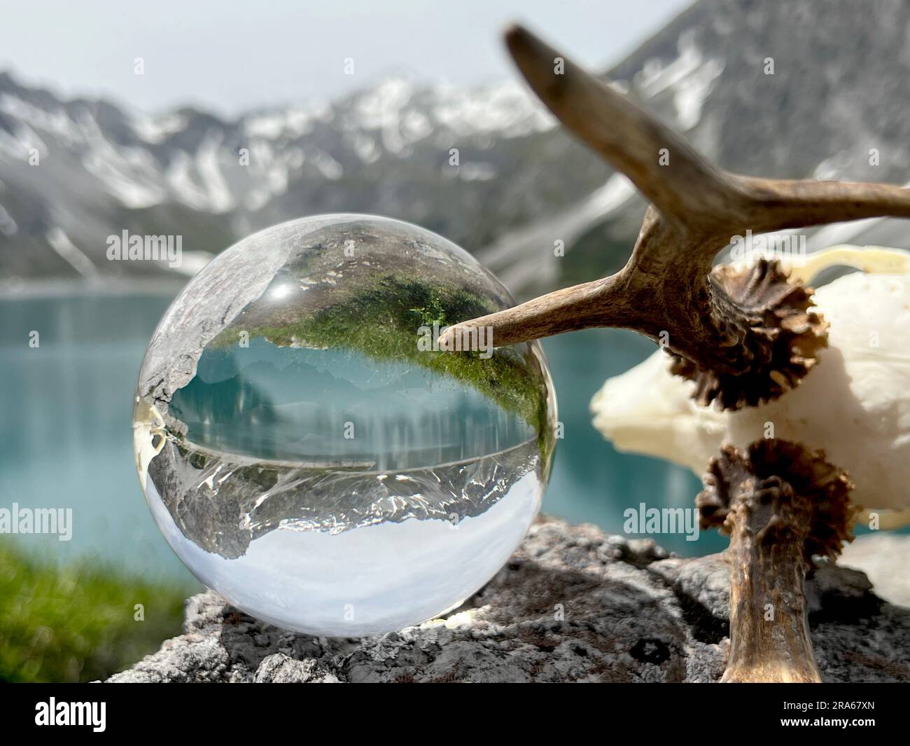 Bois de poule à côté de la boule de lentille, boule de cristal, avec des reflets du lac Luenersee (Lünersee, Montafon, Vorarlberg). Banque D'Images