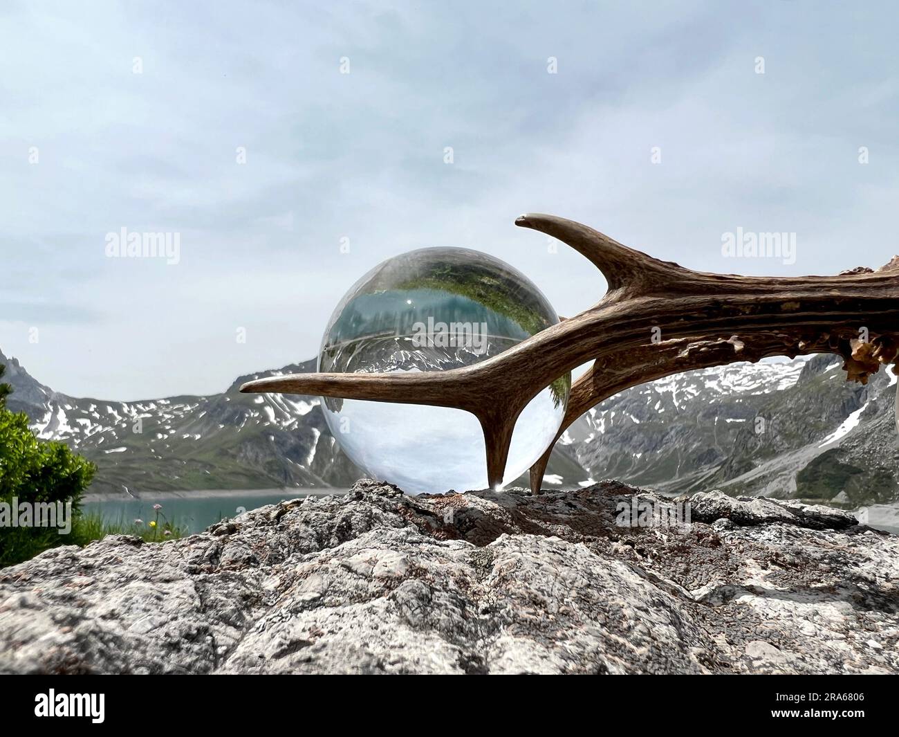 Bois de poule à côté de la boule de lentille, boule de cristal, avec des reflets du lac Luenersee (Lünersee, Montafon, Vorarlberg). Banque D'Images