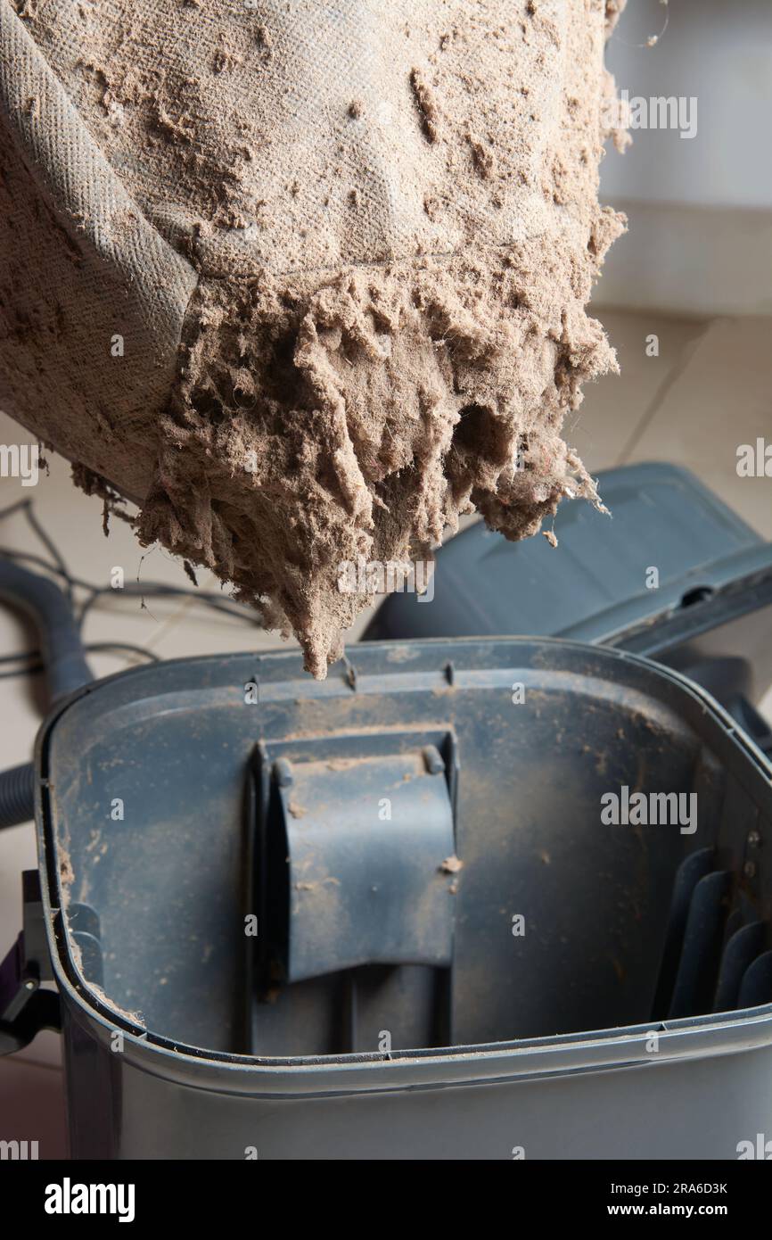 filtre à poussière sale de l'aspirateur, concept d'équipement ménager, saleté, fourrure et débris collectés dans le conteneur placé au sol, fermer Banque D'Images