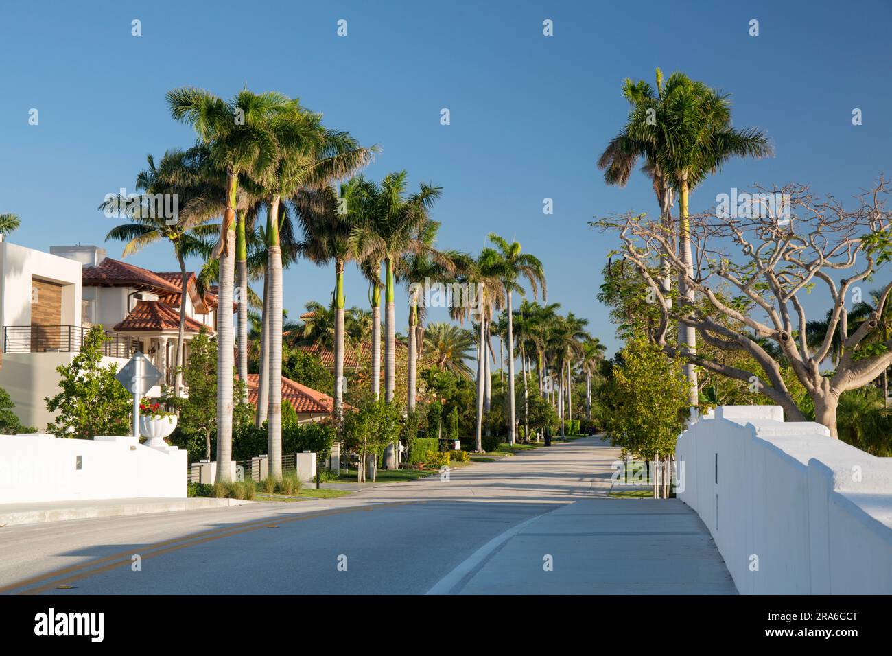 Fort Lauderdale, Floride, États-Unis. Vue le long de Royal Palm Drive, une avenue résidentielle typique bordée d'arbres dans le quartier Nurmi Isles. Banque D'Images
