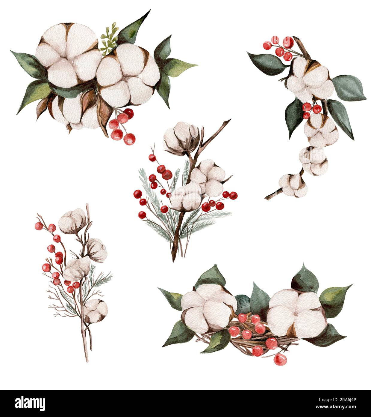 Composition des branches de coton et des baies rouges . Illustration dessinée à la main . Parfait pour la scrapbooking, le design des enfants, l'invitation de mariage, les affiches, les salutations Banque D'Images