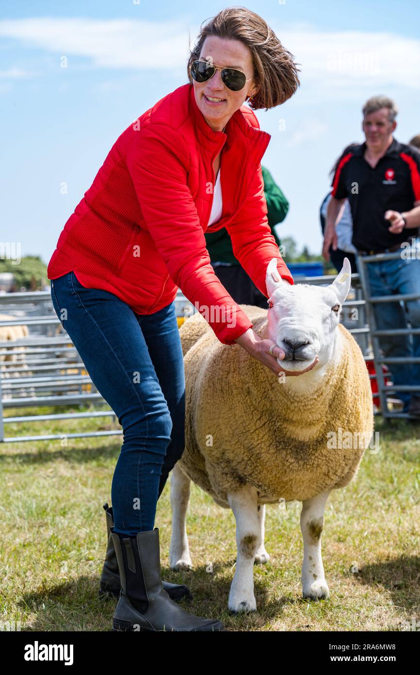 East Lothian, Écosse, Royaume-Uni, 1 juillet 2023. Haddington Agricultural Show : l'événement a lieu depuis 1804. Les participants ont apprécié une journée ensoleillée. Sur la photo : un mouton juge des tours. Crédit : Sally Anderson/Alamy Live News Banque D'Images